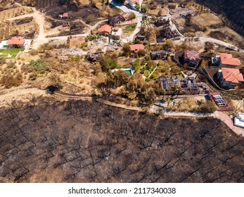 The image of the forest after the fire and the burned houses in the surrounding area with a drone