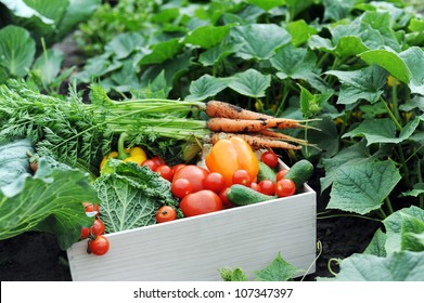 An Image Of Fresh Vegetables In A Crate