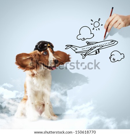 Image of funny spaniel dog in pilot helmet
