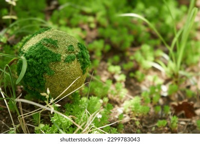 Image of the global environment