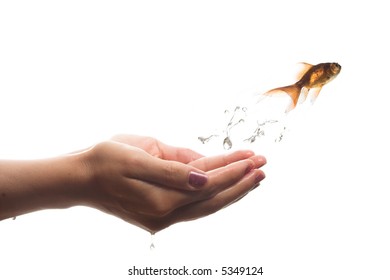 image of a goldfish jumping out of hand