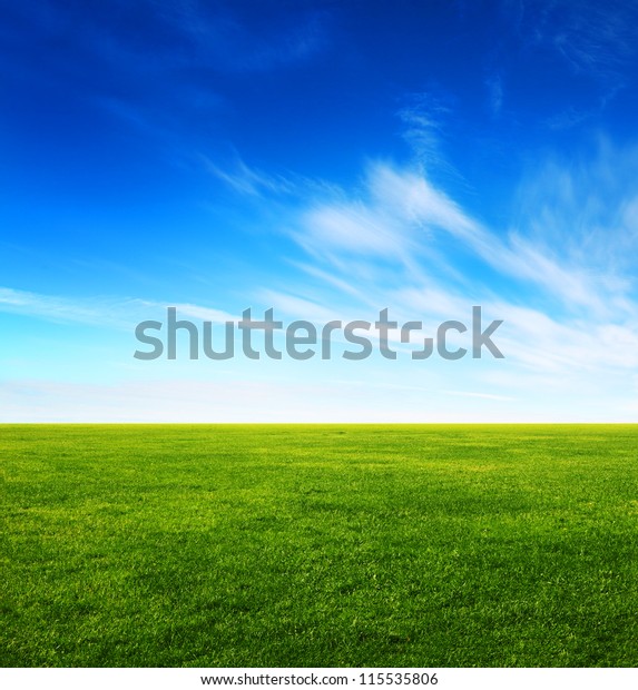 緑の草原と明るい青空の画像 の写真素材 今すぐ編集