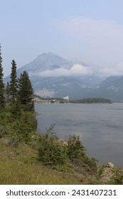 The image is of a group of trees in front of a mountain. The trees include spruce, larch, pine, and fir among others. The setting is a wilderness area with fog and a sky visible.