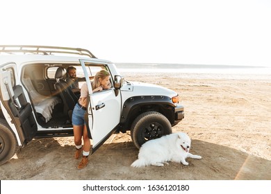 1,680 Dog car beach Images, Stock Photos & Vectors | Shutterstock