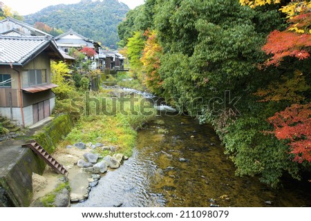 An Image of Hasegawa Mapletrees