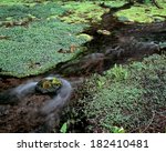 An image of Headwaters