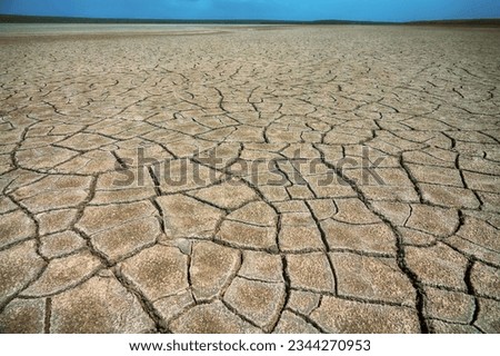 Image of heat and drought. Global warminga (man-made climate change, ecological turnover). Endless dried-up plain with chapped ground and dead dried plants. Desertification and soil degradation