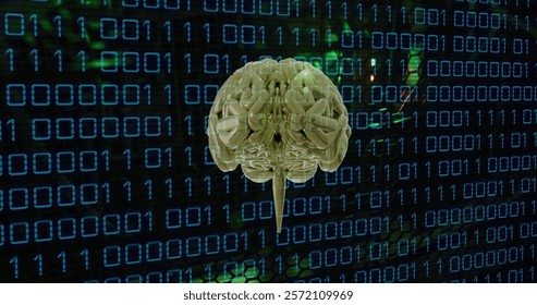 Image of human brain and binary coding data processing over computer servers. Global artificial servers, connections, computing and data processing concept digitally generated image.