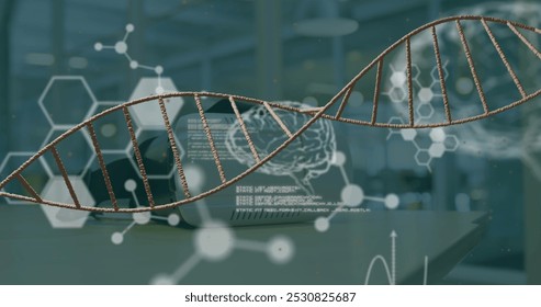 Image of human brains, scientific data processing and dna strand spinning. Global science, medicine and healthcare services concept digitally generated image. - Powered by Shutterstock