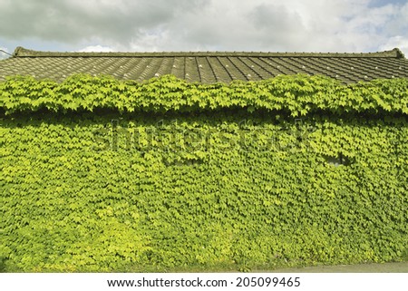 Similar – heavily overgrown building, of which only the roof is still visible