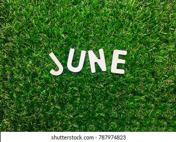 Image June,wooden alphabet June on green grass background with copy space for your text. Concept be used for calendar, month and background. Blur picture and exposure. Vintage style.