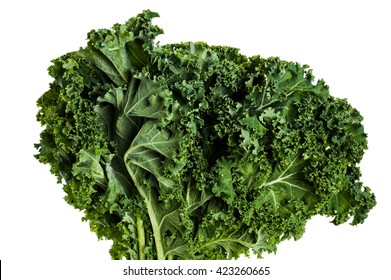 65,334 Kale White Images, Stock Photos & Vectors | Shutterstock