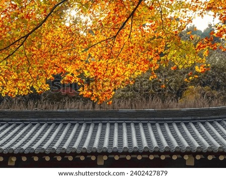 Image of Korean tile-roofed house in beautiful autumn scenery