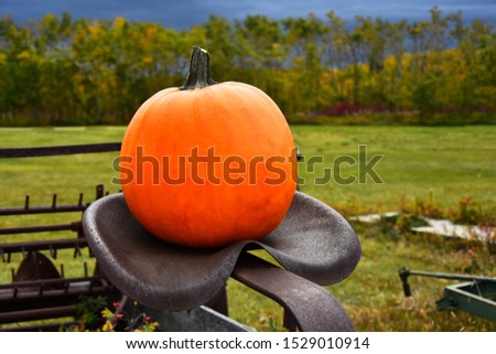 An image of a large orange pumpkin on old antique farming equipment.