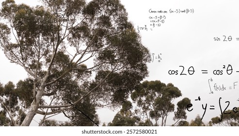 Image of layers of mathematical formulae and equations over trees and sky. Data, mathematics, research, learning, nature, education and communication, digitally generated image.