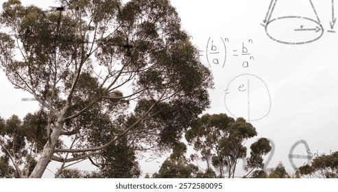 Image of layers of mathematical formulae and equations over trees and sky. Data, mathematics, nature, research, learning, education and communication, digitally generated image.
