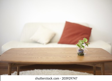 An Image of Living Room