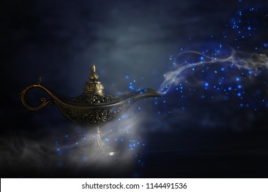 Aladdin Images, Stock Photos & Vectors  Shutterstock