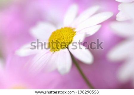 Similar – Image, Stock Photo momentariness Colour photo