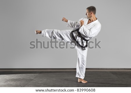 An image of a martial arts master