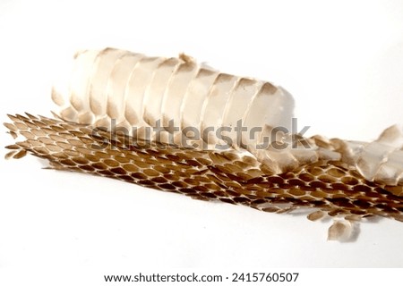 Image material of a snake's shed shell.