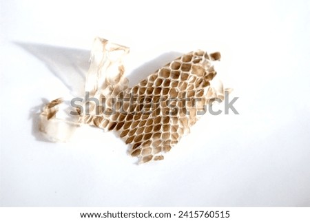 Image material of a snake's shed shell.