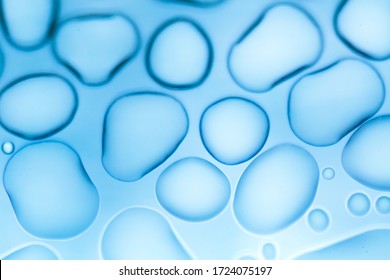 Image From Microscopy Of Water Drops In The Microscopic Slide.Abstract Oxygen Bubbles In The Water.Mixed And Different Shape Background In The Blue Tone.