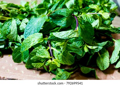 Image Of Mint Leave