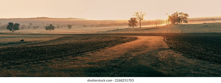 Image of a misty foggy soft golden sunrise overlooking ploughed fields and farmland in Western Australia - Powered by Shutterstock