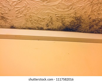 Mould On Ceiling Stock Photos Images Photography Shutterstock