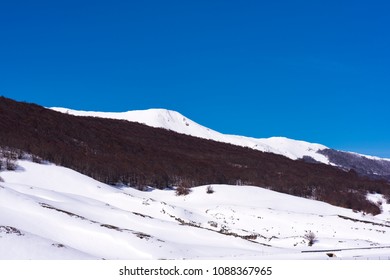 Snowimage Images, Stock Photos & Vectors | Shutterstock