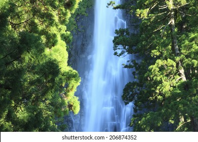 An Image Of Nachi Falls