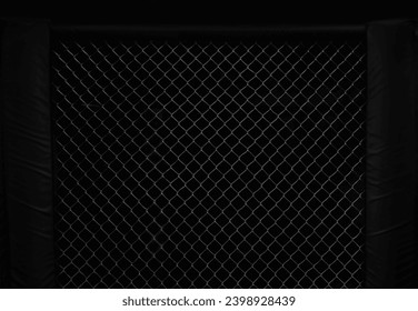 Image of an octagon. Concept of boxing, sport, muay thai, martial arts. - Powered by Shutterstock