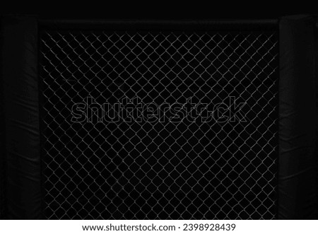 Image of an octagon. Concept of boxing, sport, muay thai, martial arts.