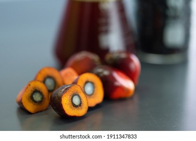 Image of oil palm fruits cut half showing the kernels close up. Selective focus on the fruits. Crude oils as background