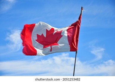 An image of an old tattered Canadian flag waving against a blue sky. 