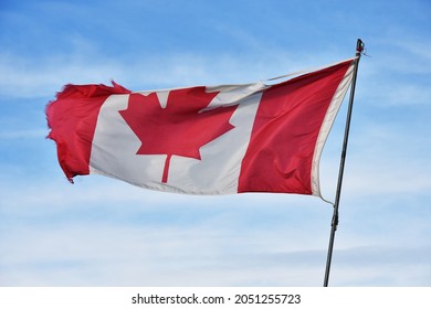 An image of an old tattered Canadian flag waving against a blue sky. 