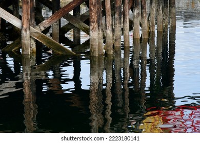 An image of old wooden dock pillars reflecting in the ocean water at low tide. - Powered by Shutterstock