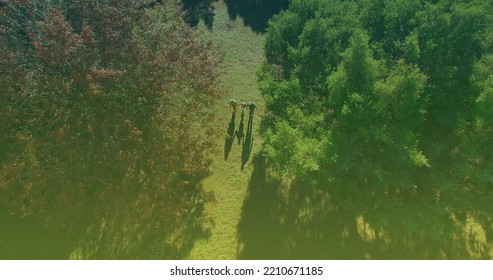 Image Of Overexposed Aerial View Of Caucasian Grandparents With Grandchild Walking In Park. Family, Relations And Lifestyle Concept.