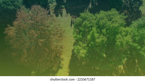 Image Of Overexposed Aerial View Of Caucasian Grandparents With Grandchild Walking In Park. Family, Relations And Lifestyle Concept.