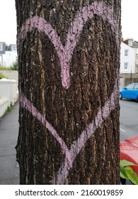 Image Of A Pale Pink Heart Outline Spray-painted On To A Tree Trunk With Dark Brown Bark. In The Background Are Glimpses Of White Houses, A Blue Car And A Red Car, And The Road Behind The Tree.