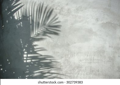 An image of palm leaf shadow on the wall