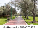 Image of "Parque el Olivar" Olive Park in Lima Peru. San Isidro district. Forest of old olives open to public.