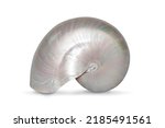 Image of pearl shell of a nautilus pompilius on a white background. Sea shells. Undersea Animals.