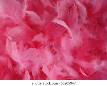 Image Of Pink Feathers Used As A Background