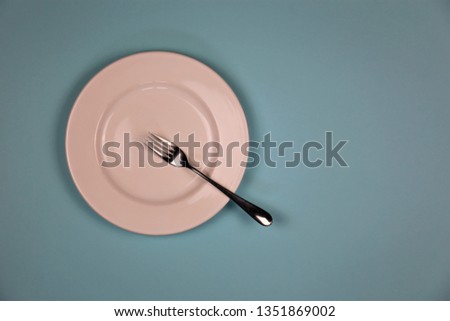 An Image of a plate and fork