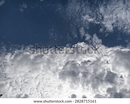 The image presents a dramatic, close-up skyward shot showing a distinct dividing line between two different cloud formations and sky conditions.

Foreground and Lower Half: Dense, thick, and billowy white-and-gray cumulus clouds occupy the lower section of the frame, showing heavy texture, depth, and shadowy highlights.

​Background and Upper Half: 
A deep navy-blue sky stretches across the top portion, covered with thin, wispy, feathered altocumulus clouds that create a sheer, textured veil over the dark backdrop.