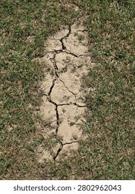 The image presents a top-down view of a stark patch of parched, cracked earth surrounded by grass. The central strip of dry, light-tan clay soil is fractured by deep, dark fissures forming an uneven mudcrack pattern. Green and drying blades of lawn grass border the dehydrated ground, illustrating the localized impact of a severe dry spell or intense heat on a yard surface.