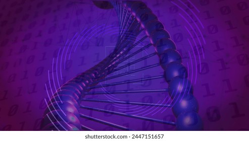 Image of qr code, binary coding, data processing over dna strand spinning. Global science, data processing, connections and cloud computing concept digitally generated image. - Powered by Shutterstock - Get 15% off with code: PIKWIZARD15