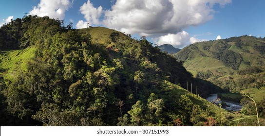 Image Of The Rainforest In The Peruvian Amazon.